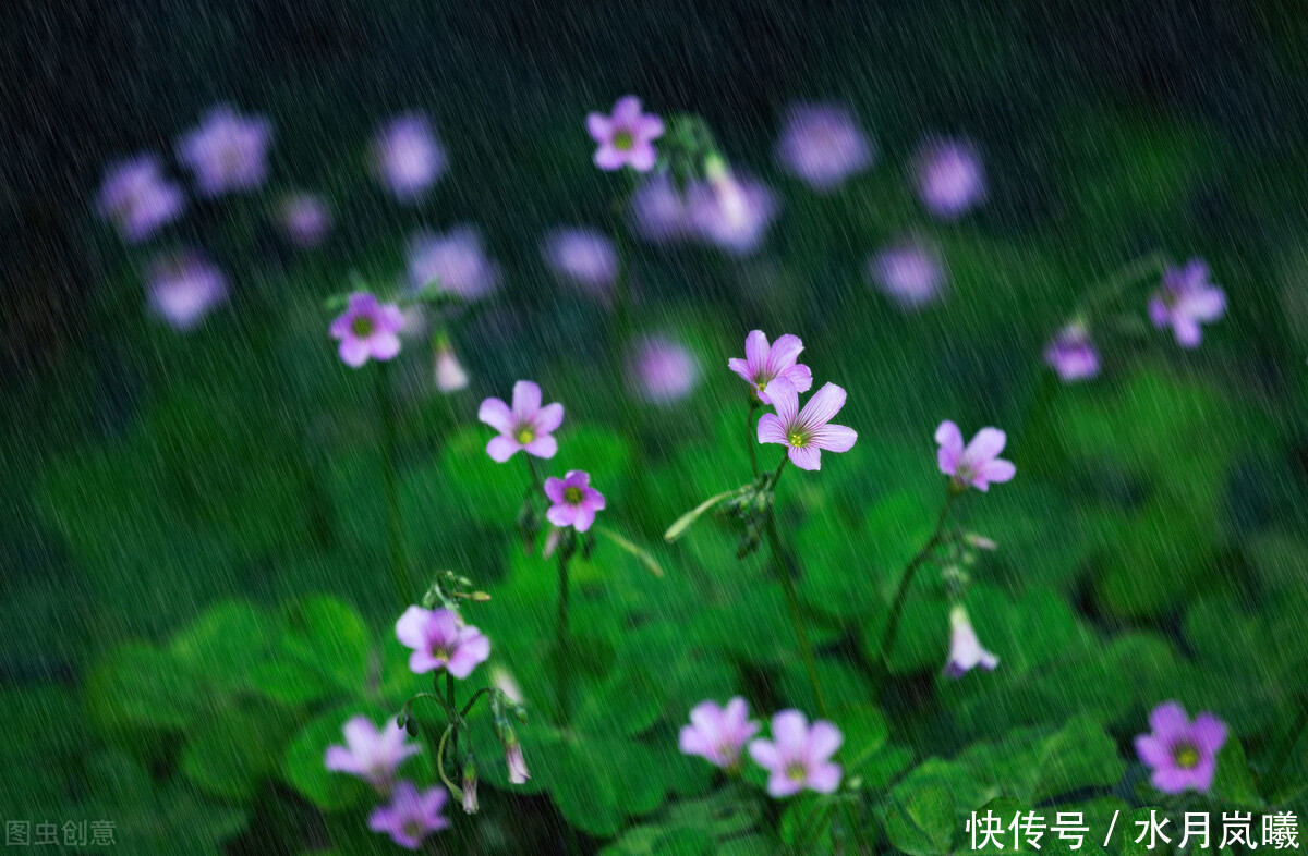  错过|雨是一生错过，雨是悲欢离合，雨是再也回不去的倾城往事