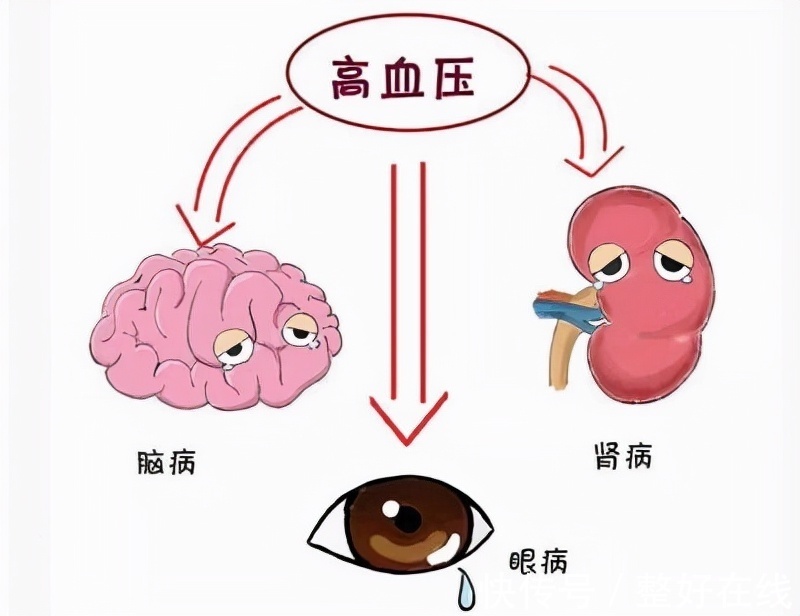原发性高血压|高血压是什么疾病?什么原因会导致人体患上高血压疾病?一文说清
