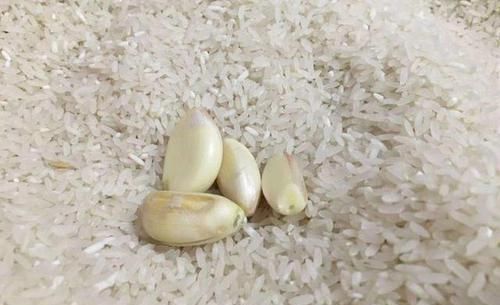 大米最“忌”储存在这3个地方，教你5招，大米放上一年都不会坏