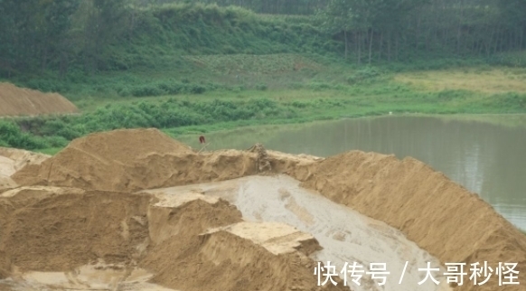 园艺新人适用的经验知识：将它们列入“养花配土”的原材料吧