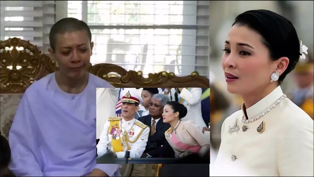 玛哈|玛哈国王休妻有惯招!都是先捧后摔,她是捧得最高摔得最狠的一个