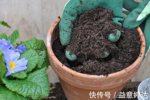 混搭土养花技巧：备上这几样，从此养啥花都能轻松应对