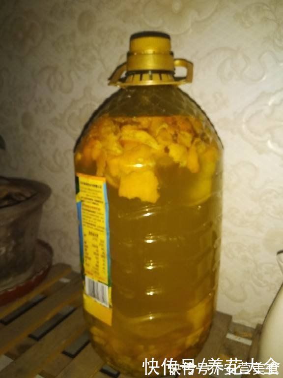 家里的油桶不要扔，拿来种菜养花，省钱又好用