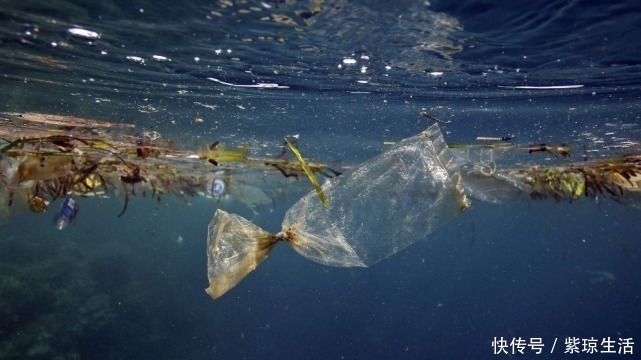 海洋 3900米深海传回一组照片，各国都不淡定了，西方请立刻停手