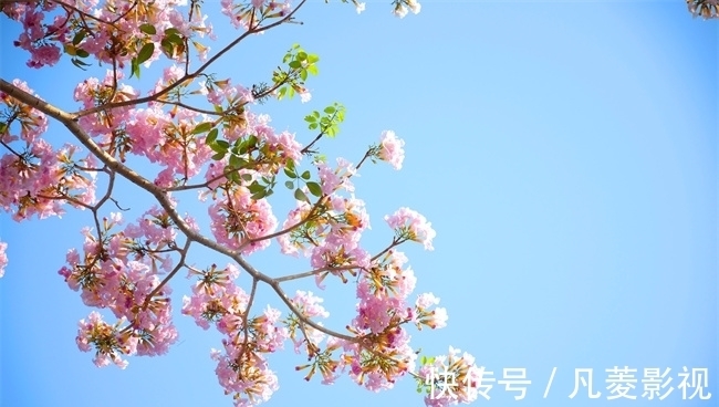 时辰|出生哪几个时辰的人,风雨之后见彩虹,磨难越多成长越快!