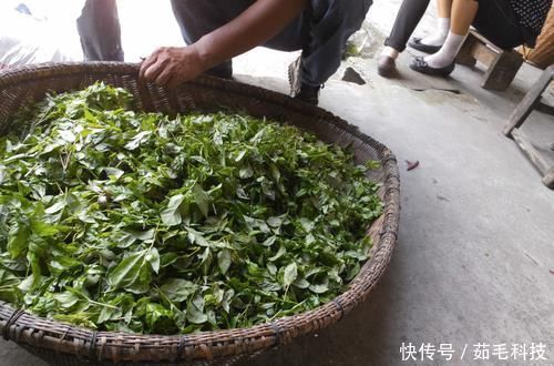 食物|患上子宫肌瘤要淡定，6种食物坚持吃，助你活血化瘀、消除肌瘤