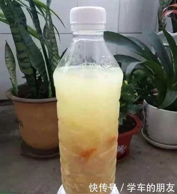 用2个方法,将黄豆处理一下,就是“花卉氮肥”,养啥都旺!