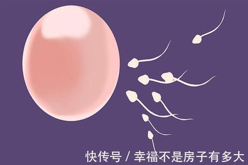 身体素质|女性生娃的“最终年龄”是多大?过了此年龄,想生就难了!