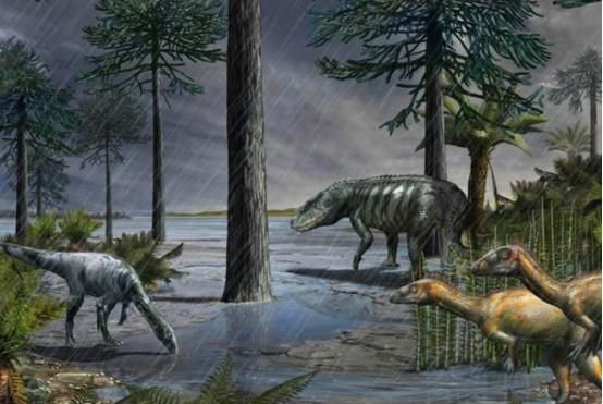 如果地球下起一场持续10000年的雨，人类会毁灭吗？