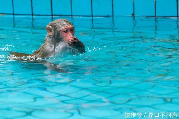 沙滩|叫板三亚，不输巴厘岛！人少景美消费还低，海南旅游去这里就对了