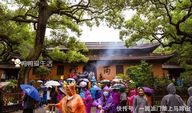 九龙藻井|普陀山三大寺之一，镇寺之宝来自南京明故宫，寺名来自康熙御赐！