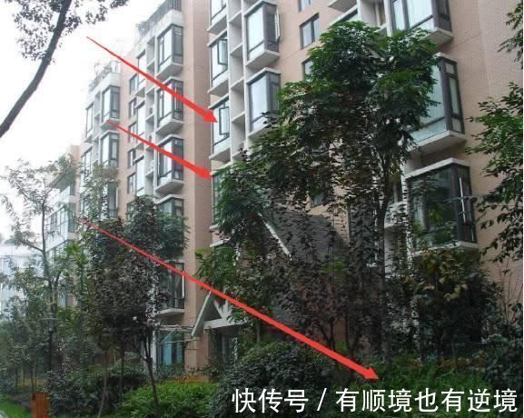 朝向|为什么有钱人爱买东边的房子?一听售楼闺蜜的话,我就后悔才察觉