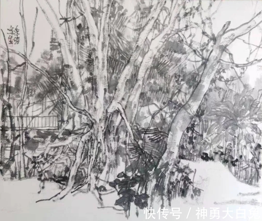 山水画$辛丑写生|甘肃画院李伟水墨山水画