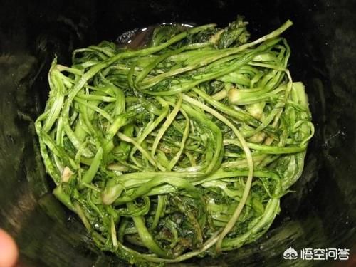  好吃|雪里红怎么做好吃？