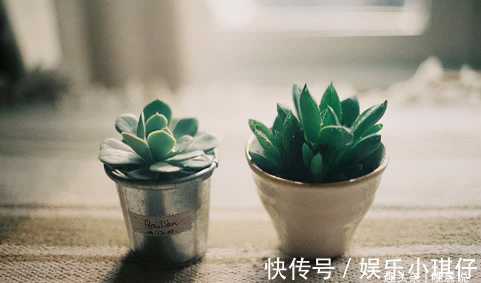 炫耀!不炫耀,是一种智慧