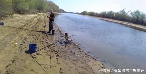 钓鱼|鱼多就是任性,扔下鱼饵就有鱼吃,上来就放岸边,也不怕它们逃跑