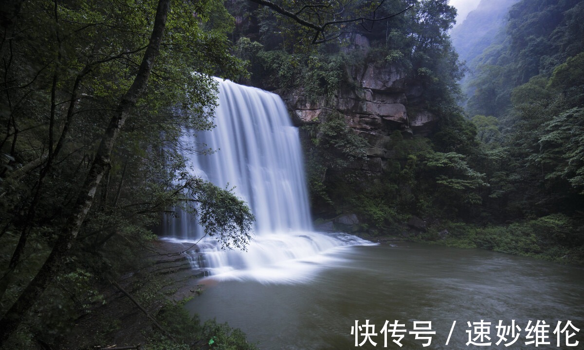 长滩|赤道附近保存比较完整的原始森林 开学季来这里写生 不虚此行