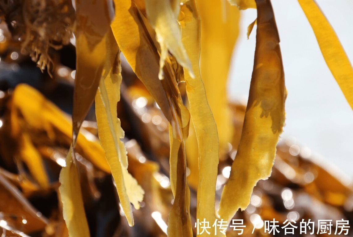 三黑豆浆|女人过了30岁,平时没事吃点它们,富含黄体酮,更显年轻态