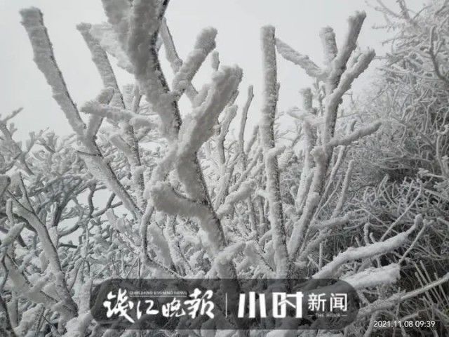 毛毛雪|杭州下雪了！这里已经一片白茫茫