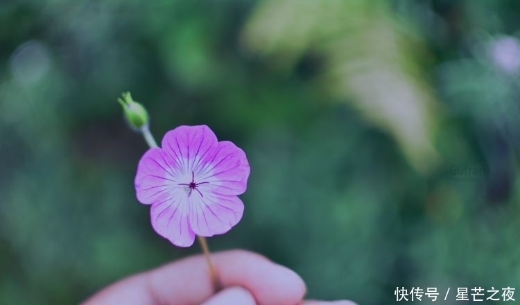 能力|摩羯座的偷心能力有多强？