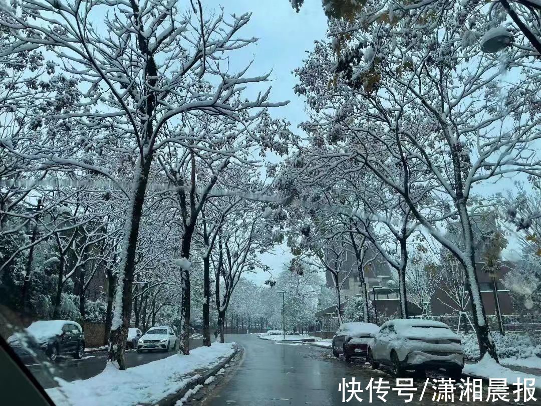 李蕾|组图｜雨花雪景还没赏够？看这里！惊艳nice“绝绝子”