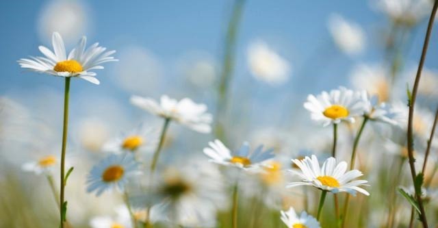 偏执|做人需圆融,忌偏执,急躁