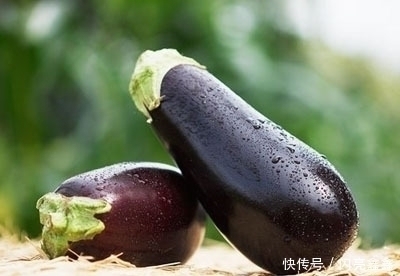 忠告|忠告茄子不能和此物同食，吃了就是没病找病，现在知道还不晚