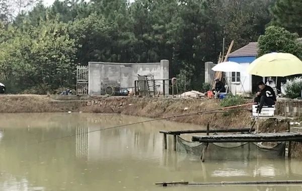 天气一冷,鱼就不咬钩了?按照我这样做,不到一分钟钓一条