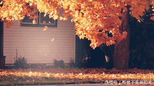 衣服不在多、关键在配色,今秋流行这3种配色单品,穿对了才时髦