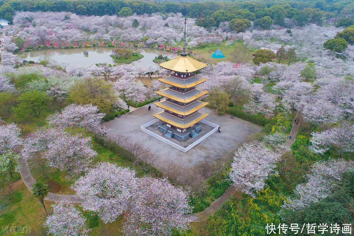 现状|武大毕业生的反思：现代大学生的真实生活现状是这样的