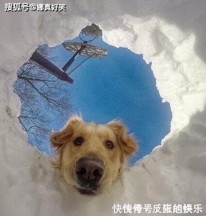 |搞笑GIF:抱孩子的那个大姐,我觉得你不适合在这桌