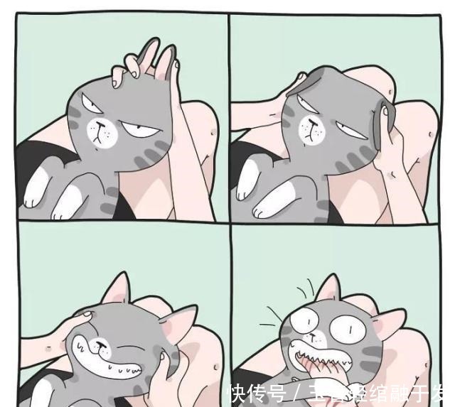 养猫|养猫很有趣吗艺术家用插画描绘出那些,搞笑又暖心的时刻