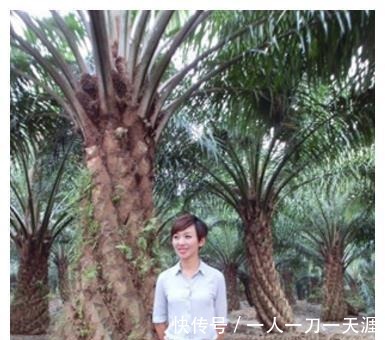 央视|央视主持人大合唱董卿与欧阳夏丹去哪里了