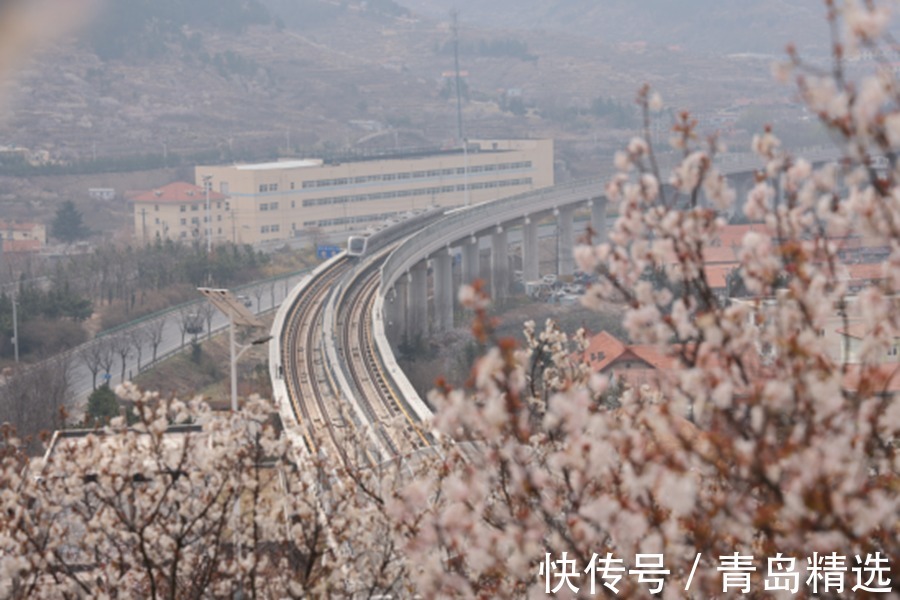 青山|青岛地铁11号线，原来一年四季都很美