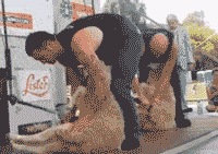 |搞笑GIF:不会合理利用工具来吹头发,那还能叫老司机吗