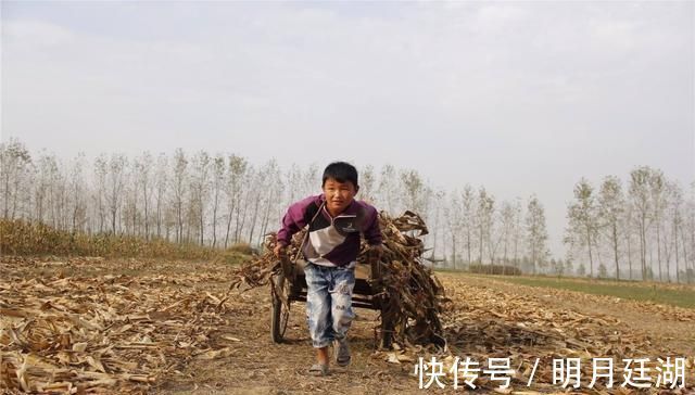 三胞胎|宝妈带三胞胎回娘家，三胞胎正合谋杀鸡，妈妈进门看到乐坏了