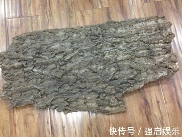 虎皮兰、绿萝都喜欢“它”,花盆里“垫1块”,29天爆盆,旺盛!