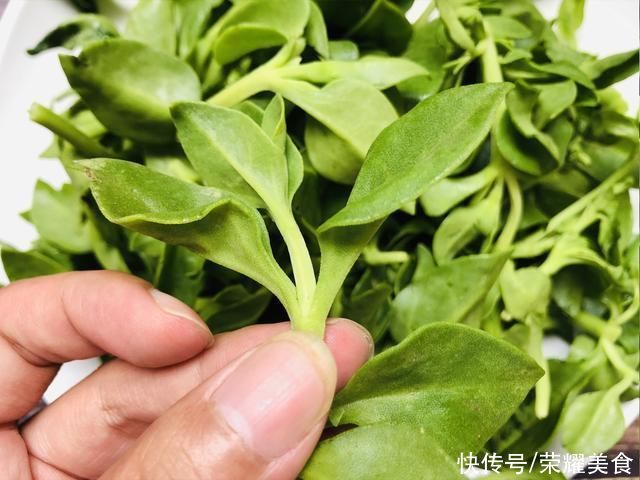 搅拌均匀|这菜浑身都是宝，口感爽滑，凉拌着吃真香，夏天可隔三差五吃一次