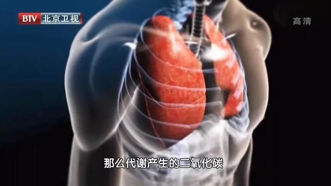 肺泡壁|秋季暗藏五大“肺部威胁”