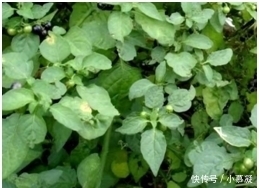 说出一种零食,证明你老了?