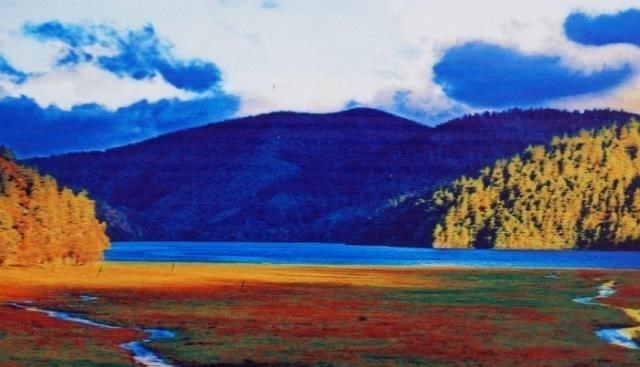 云南一大型公园火了，距香格里拉市城区22公里，位列5A门票40元