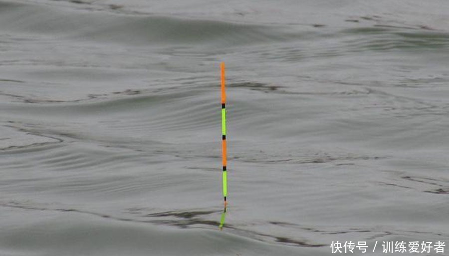 钓鱼|黑坑如何解决水底“酱层”问题的我提供3种方法