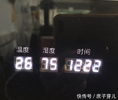 全麦葡萄干软欧包