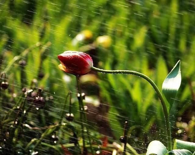 灵魂|五代怀人之作少有人知,但其中10个字,却成为一首宋词的灵魂