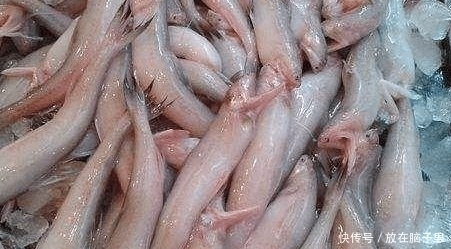 这种鱼以前虽然廉价,但还是很多人爱吃,而且它的做法有还不错