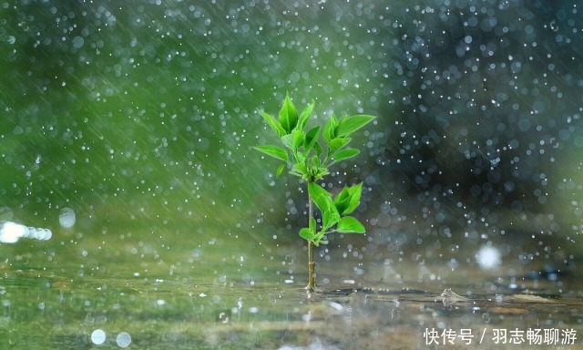  看完|宋代最丑的词人贺铸，写下一首最美的词，看完了你都不觉得他丑了