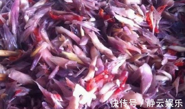 阳荷|山里人常吃舍不得卖,是糖尿病患者的福音!吃过吗