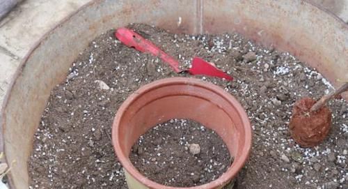 花盆|什么东西适合养花?这些宝贝,帮搞定花盆、花土、花肥问题