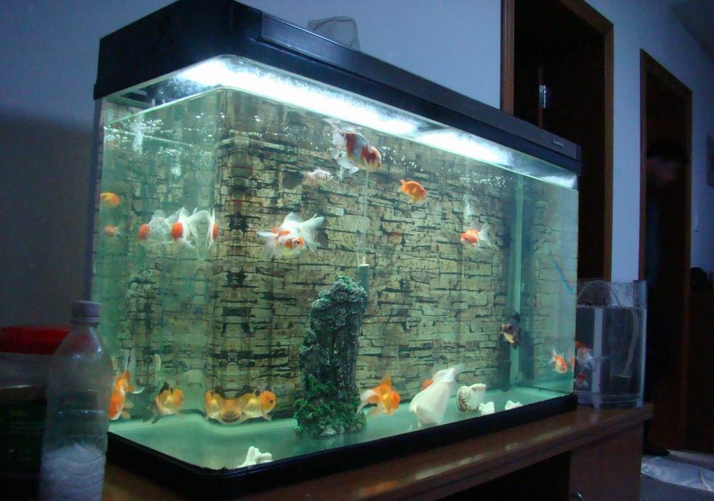 盘点闲置率最高的家居用品,不要再跟风买了