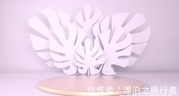 运势|近几天,手摘桃花,下财雨,主动求和,肖龙抢夺先机,永不分离